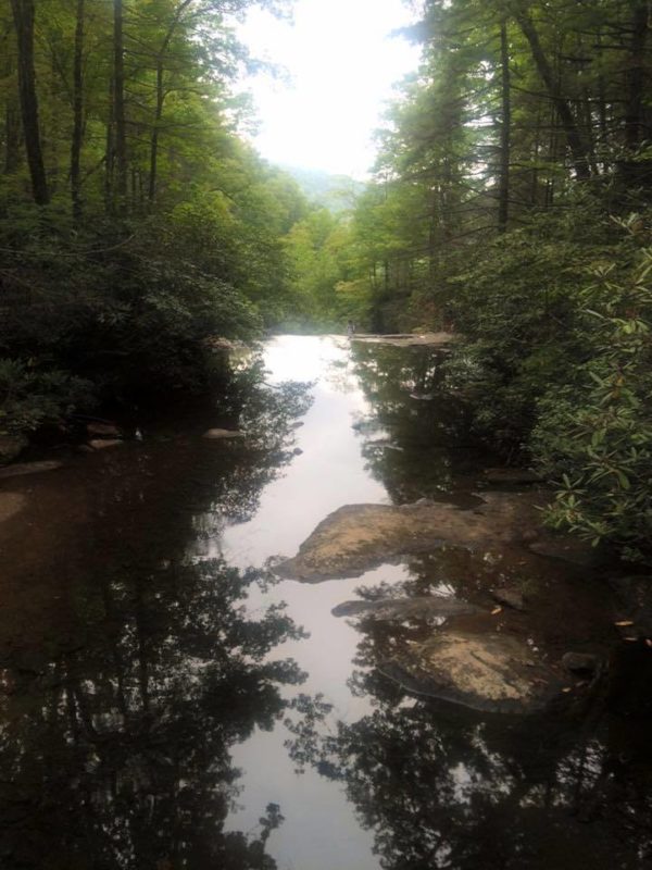 2016 CAA Camping Trip Tickets - Image 3